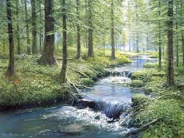 stream